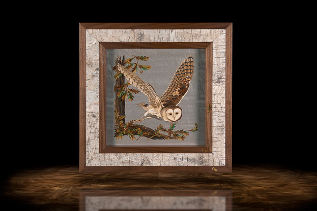 Observant Owl Response